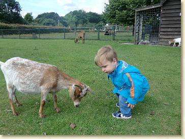 20120617-17 kinderboerderij